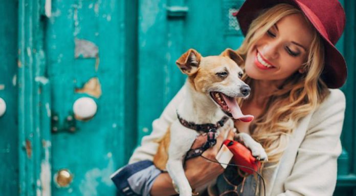 Positive Effects Of Owning Pets – The Benefits Which We Can Get positive effects of owning pets