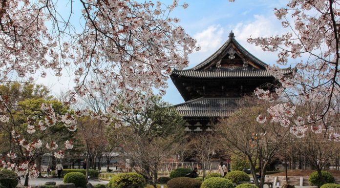 All Uniqueness about Japan – Interest Facts You can Find! all uniqueness about Japan