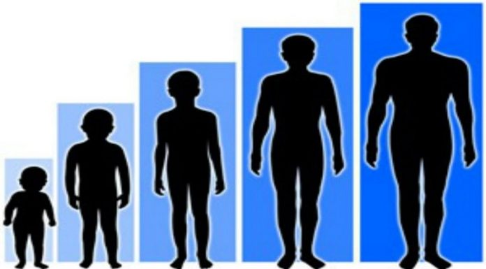 How to Grow Taller || Check out The Exclusive Information on 4nids! how to grow taller