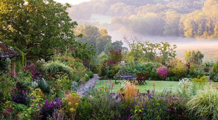 Exploring Backyard Landscape Design Ideas