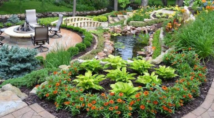 Landscaping Design and Garden Edging