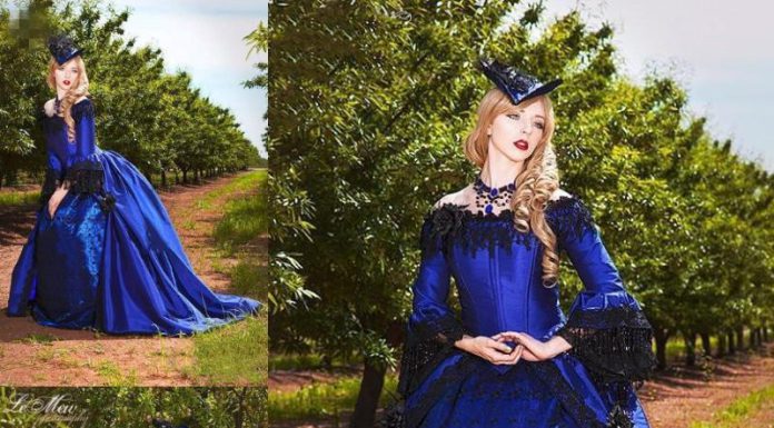 Plus Size Victorian Dresses