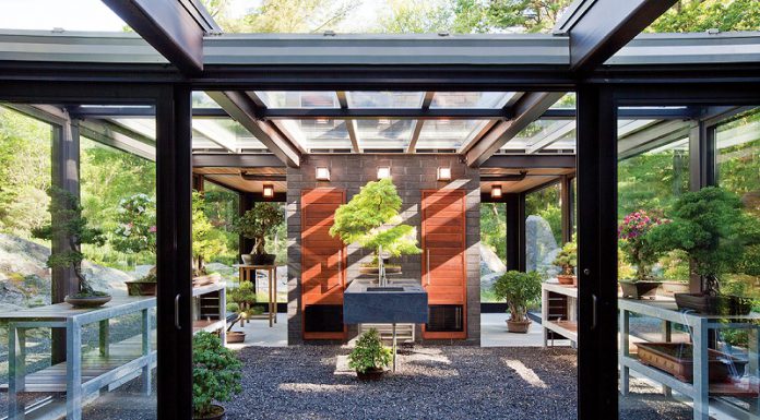 Creating a Beautiful Modern Greenhouse