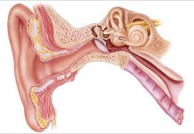 What Causes a Bad Ear Infection?