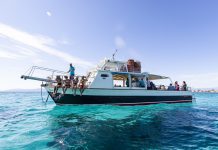 Life in the Fast Lane: A Speed Boat Tour